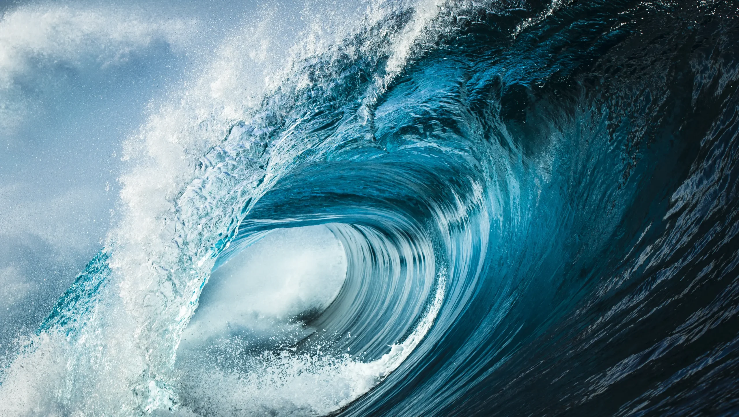 Ophthalmic Surgery Instruments Company