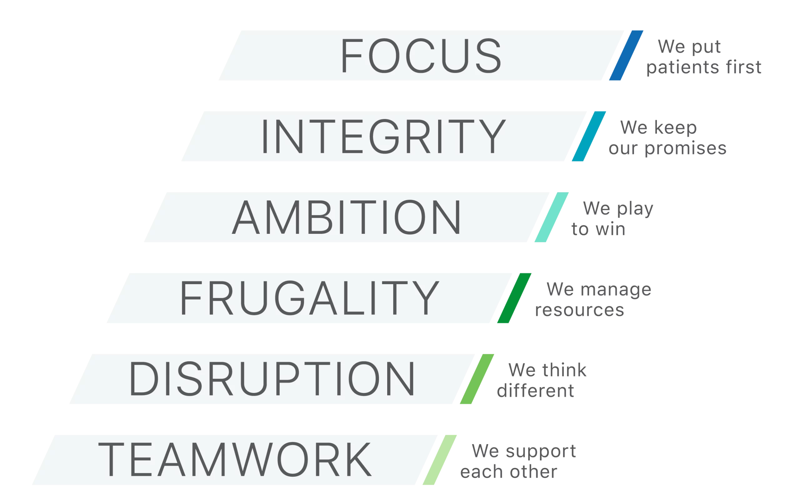 Values of Hasa Optix